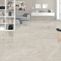 Tulip White 60x120