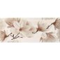 Gorenje-blossom-beige-dc-flower 25x60cm I.o 1,35m2/doboz 32doboz/raklap