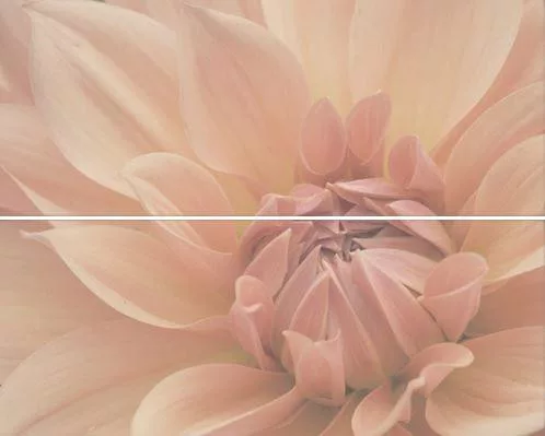 Zala-Carn-Dek. ms Dahlia F-53021 2db/szett 20x50 cm