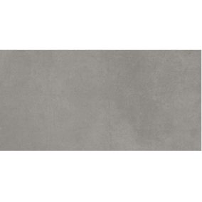 Solid Grey 30x60