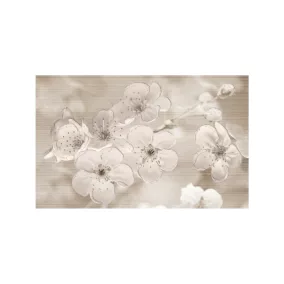 Zala-Harmony ms 25x40 15db/doboz  KBK2020/14 