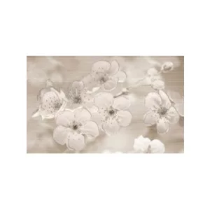 Zala-Harmony ms 25x40 15db/doboz  KBK2020/14 