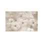Zala-Harmony ms 25x40 15db/doboz KBK2020/14